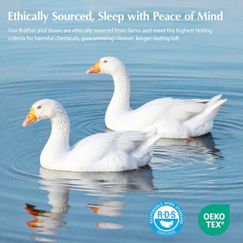 Pacific Coast Lightweight Goose Feather Down Fiber Comforters King Size, Summer Duvet Insert, Ultra Soft, Breathable, Hotel Luxury Bedding Comforter with 8 Tabs, White, 106 x 90 inches Pacific Coast
