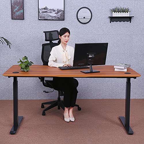 ApexDesk Elite Pro Series 60" Electric Height Adjustable Stand up Desk, Sit Stand Home Office Desk, Computer Desk - Curved Apple - WoodArtSupply