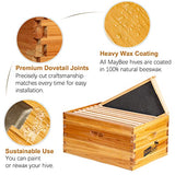 MayBee 10-Frame Beehive Box Langstroth Deep Brood Box Dipped in 100% Beeswax Includes Wooden Frames & Waxed Foundations (Unassembled) MayBee
