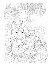 Creative Haven Lovable Cats and Dogs Coloring Book: Relax & Unwind with 31 Stress-Relieving Illustrations (Adult Coloring Books: Pets) Dover Publications