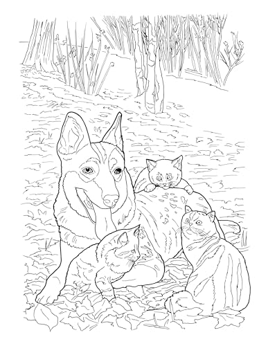 Creative Haven Lovable Cats and Dogs Coloring Book: Relax & Unwind with 31 Stress-Relieving Illustrations (Adult Coloring Books: Pets)