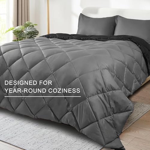 WQSPRING King Size Comforter Set, Reversible 3 Pieces Lightweight Soft Bedding Set for All Season, Premium Bed in a Bag Includes 1 Comforter (106"x90") and 2 Pillowcase (20"x36") WQSPRING