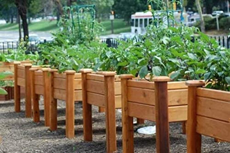 Garden Box Sealer | FDA Food Contact Safe Plant-Based Wood Sealant for Raised Beds, Planters & Pet Houses. Protects All Wood Types from Water & Weather Damage | Eco-Friendly Sustainable Solution Seal It Green