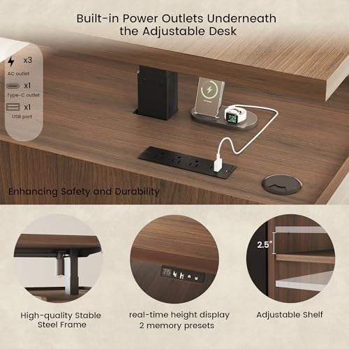 ModernMate Executive Standing Desk with Drawers & Storage, 71'' Adjustable Electric Stand Up Wood Desk with Privacy Panel, AC/USB, File Cabinet, Large One-Piece Destop for Home Office, Black Walnut ModernMate