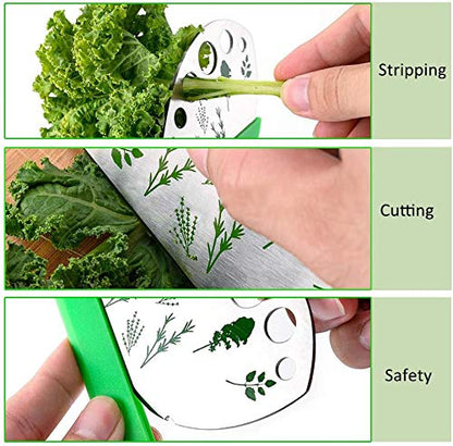 Herb Stripper, Jiaedge Green 9 holes Stainless Steel Kitchen Herbs Leaf Stripping Tool, Metal Herb Peeler for Kale, Collard Greens, Thyme, Basil, Rosemary Stripper