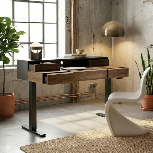 ErGear Electric Standing Desk with 5 Solid Wood Drawers, 48 x 26 Inches Whole Piece Desktop, with Desktop Riser Stand, Compatible with C-Clamp Monitor Arms, Modern Office Desk, Dark Walnut ErGear