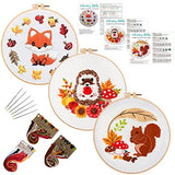 Louise Maelys 3 Set Animal Embroidery Kits for Beginners with Autumn Squirrel Hedgehog Fox Pattern,Adults Starter Cross Stitch Kit DIY Needlepoint