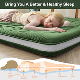 Auemtyn Japanese Floor Mattress, 4" Japanese Futon Mattress, Foldable & Portable Shiki Futon (shikibuton), Roll Up Thicken Sleeping Tatami Mat Sleeping Pad for Camping (Green, 54 x 80) Auemtyn