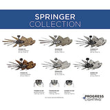 Progress Lighting P250000-129 Springer Collection DC Motor Windmill Farmhouse, 60-Inch, 12-Blade Ceiling Fan, Architectural Bronze Progress Lighting