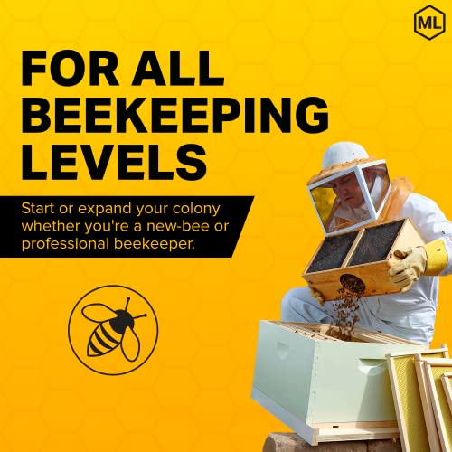 Mann Lake Complete Bee Hive Kit, Fully Assembled Beginner-Friendly Bee Hive Starter Set with Hive Body & 10 Frames Mann Lake