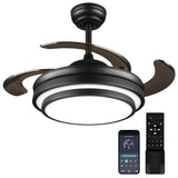 LIGHTIMES Modern 36 x 20 inches Black Reversible Ceiling Fan with Dimmable LED Light, 6 Speed, Remote Control, for Bedroom Live Room LIGHTIMES