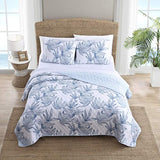 Tommy Bahama - Queen Quilt Set, Reversible Cotto Bedding with Matching Shams, Super Soft Bedding Set (Kayo Blue, Queen) Tommy Bahama
