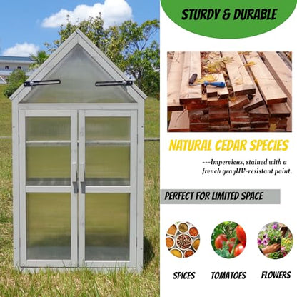 Mini Greenhouse Kit Outdoor, Upgrade Small Green House with Adjustable Shelving, Wood Cold Frame, Plant Stand Cabinet for Indoors Garden Patio