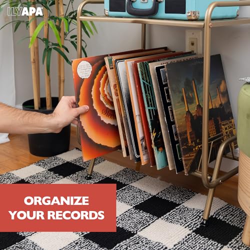 Ilyapa 2-Tier Gold Metal Record Player Stand with 16 Slot Vinyl Record Holder - Honeycomb Design Turntable Shelf with Vinyl Shelf Ilyapa