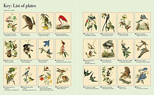 The Audubon Birds Coloring Book Arcturus