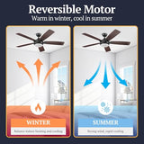 Prominence Home 51649-01 Lorelai Smart Ceiling Fan with Light and Remote, 52, Bronze Prominence Home