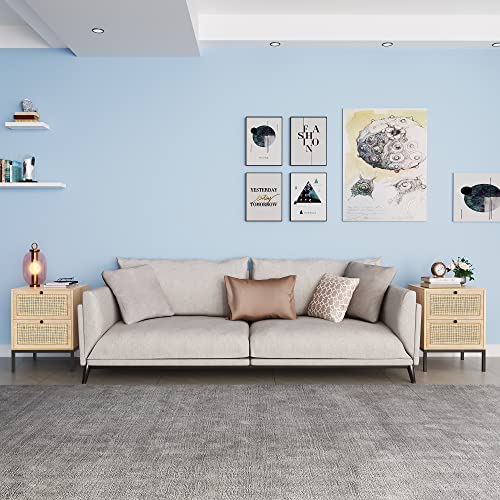 XIAO WEI Rattan Nightstand Set of 2 with Handmade Natural Rattan Drawers, Bedside Tables, End Table, Rattan Side Table, Boho Wood Nightstand, for Bedroom, Living Room, Metal Legs XIAO WEI