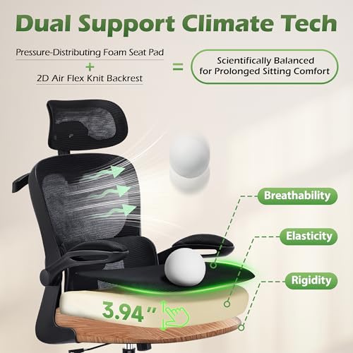 AreShark Office Chair Ergonomic Desk Chairs with Adjustable Lumbar Support& Headrest Hanger, High Back Breathable Mesh Chair with Wheels, Rolling Swivel Comfy Task Computer Chair for Home Work Gaming AreShark