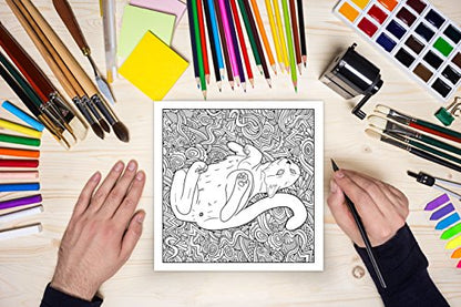 Cat Butt: An Off-Color Adult Coloring Book for Cat Lovers