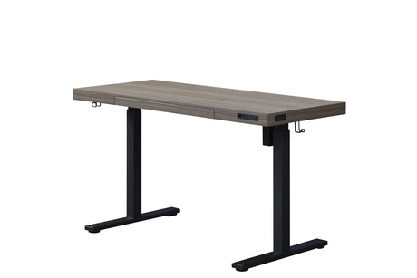 kowo Electric Height Adjustable Standing Desk with Drawer, 55" Home Office Wooden Computer Desk Ergonomic Memory Control Workstation Sit Stand Desk, Grey Oak/Black kowo