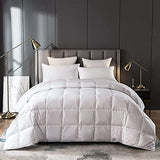 Eastwarmth Lightweight Goose Down Comforter Cooling Blanket Duvet for Summer/Warm Weather,Ultra Soft Fabric 750 Fill Power White King Size Eastwarmth