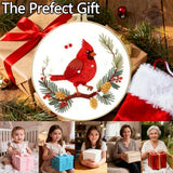 Zhenqing Red Bird in Winter Embroidery Kit for Beginners, Pre-Printed 29x29cm Cotton Fabric with 20cm Hoop, Featuring Pine Cones, Berries and Snow Design (C0213)