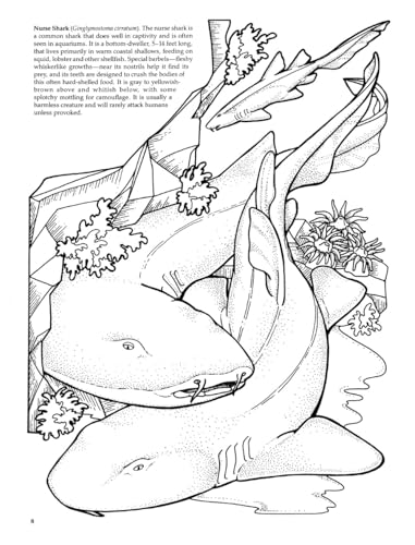 Sharks of the World Coloring Book (Dover Sea Life Coloring Books) Dover Publications