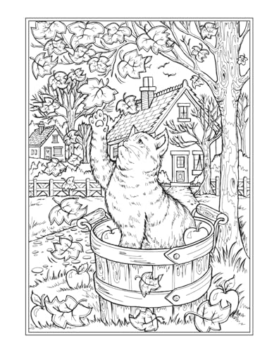 Creative Haven Autumn Harvest Coloring Book (Adult Coloring Books: Seasons)