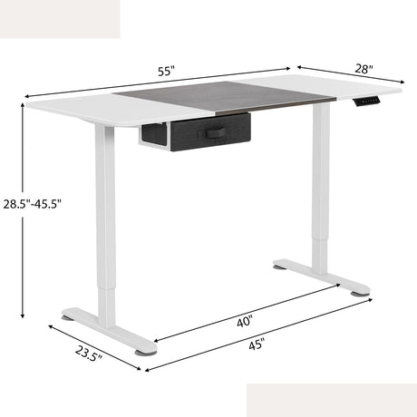 Giantex Electric Standing Desk, 55" x 28" Height Adjustable Desk with Memory Preset Controller, Storage Drawer, USB Charging Port, 2 Cable Holes, Stand Up Computer Desk for Home, Office, Gray Giantex