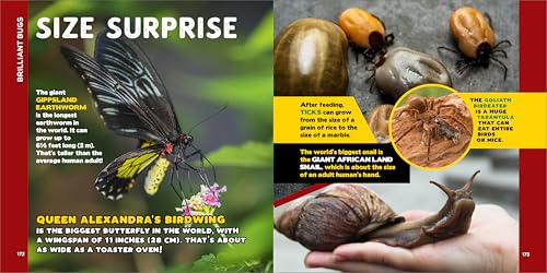 The Fascinating Bug Book for Kids: 500 Startling Facts! (Fascinating Facts) Callisto Kids