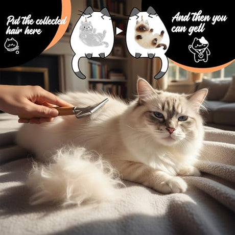 OGNWFUNK 2Pcs Cat Hair Keepsake Bottles, Pet Hair Keychain for Collecting Hair, Furever Gift for Pet Lovers, Cat Keychain Memory Keepsake OGNWFUNK