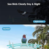 Gyozol Smart Bird Feeder with Camera, AI Identify Bird Breed, Solar-Powered WiFi 1080P Live Camera, Auto Capture Backyard Garden Bird Watching, Gyozol