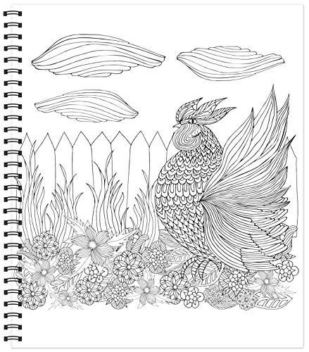 Color & Frame - Country Gardens (Adult Coloring Book) New Seasons