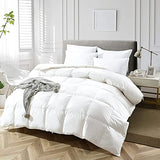 APSMILE Oversized King Luxury Organic Cotton All Season Down Feather Fibers Comforter, High Fill-Power Medium Warmth Duvet Insert (120x98, Ivory White) APSMILE