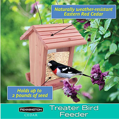 Pennington Cedar Treater Bird Feeder 2 Pounds - WoodArtSupply