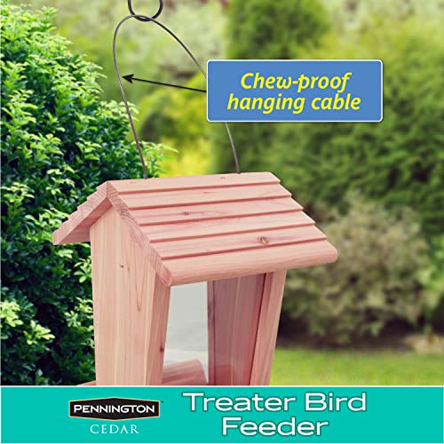 Pennington Cedar Treater Bird Feeder 2 Pounds - WoodArtSupply