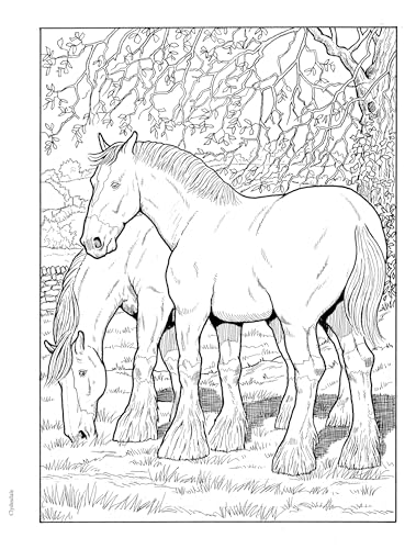 Adult Coloring Great Horses Coloring Book (Adult Coloring Books: Animals)