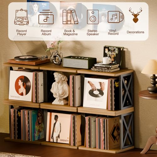 QILICHZ Record Holder,80-100Lps Vinyl Records Storage,Stackable Vinyl Holder,2-Tier Record Player Stand,Wood Turntable Stand,Records Player Table for Magazine, Book, Files, Albums QILICHZ