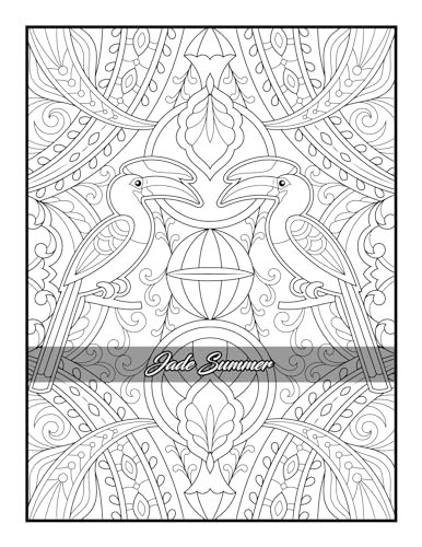 100 Amazing Patterns: An Adult Coloring Book with Fun, Easy, and Relaxing Coloring Pages