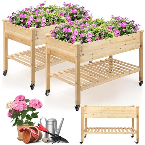 Suzile 2 Pcs Raised Garden Bed on Wheels, 48 x 24 x 30 Inch Elevated Wood Planter Box with Legs and Storage Shelf Wooden Raised Garden Bed with Drain Holes for Vegetable Flower Herb Outdoors Backyard