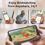 NETVUE Birdfy - Upgraded Smart Bird Feeder with Camera Solar Powered, Auto Capture Each Bird & Notify in Time, 7-Day Free AI Recognition, NETVUE