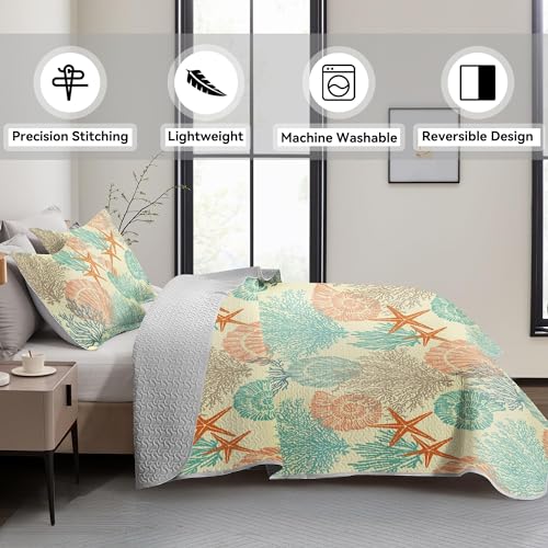 Tritard 3 Piece Coastal Quilt Sets Full/Queen Size - Reversible Microfiber Quilts with 2 Shams Soft Lightweight Beach Bedding Nautical Bedspread Coverlet Summer Comforter for All Season, 90''x96'', C4 Tritard