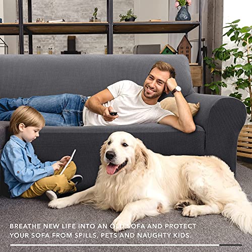 ZNSAYOTX Super Stretch Couch Cover (72"-92") Universal Sofa Covers with Elastic Bottom, Dog Cat Pets Friendly Washable Furniture Protector Fitted Sofa Slipcovers Stay in Place (Dark Grey, Sofa) ZNSAYOTX