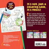 Magic Paper Coloring Book: Dinosaurs: Discover Hidden Patterns and Images! WoodArtSupply