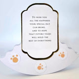 Katy Sue A Year of Peelables Stickers for Card Making. 72 Peelable Verses/Peel Offs/Sentiments Stickers for Year Round Card Making Supplies & Embellishments Katy Sue