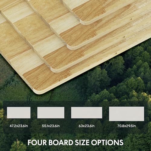 FlexiSpot E6 Solid Wood 3-Stage Dual Motor 48 x 24 Electric Standing Desk, Holds 220 lbs, Adjustable Height w/ Memory Presets, Butcher Block Rubberwood Desktop & White Frame, Ships in 2 Boxes FLEXISPOT