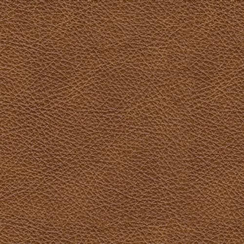 Signature Design by Ashley Carianna Classic Leather Match Sofa with Nailhead Trim, Dark Brown Signature Design by Ashley