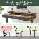 FEZIBO Height Adjustable Electric Standing Desk with 5 Drawers, 48 x 24 Inch Table with Storage Shelf, Sit Stand Desk Black Frame/Rustic Brown Top, 48 inch FEZIBO
