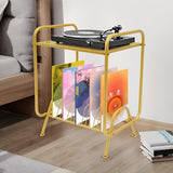 ARPITUYN 2-Tier Record Player Stand with Record Storage Shelf, Free Standing Metal Record Storage Rack with 16 Slots, Modern Player Table for Living Room, Bedroom (Gold) ARPITUYN