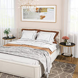 Tribesigns Faux Marble End Table, 2 Tier Round Side Table with Shelves, Modern Black Nightstand Bedside Table Small Coffee Accent Table for Living Room Bedroom, Black and Gold Tribesigns